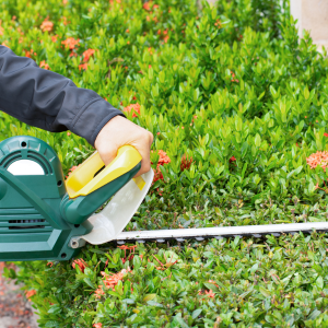 tondre sa pelouse tailler sa haie nettoyer son jardin